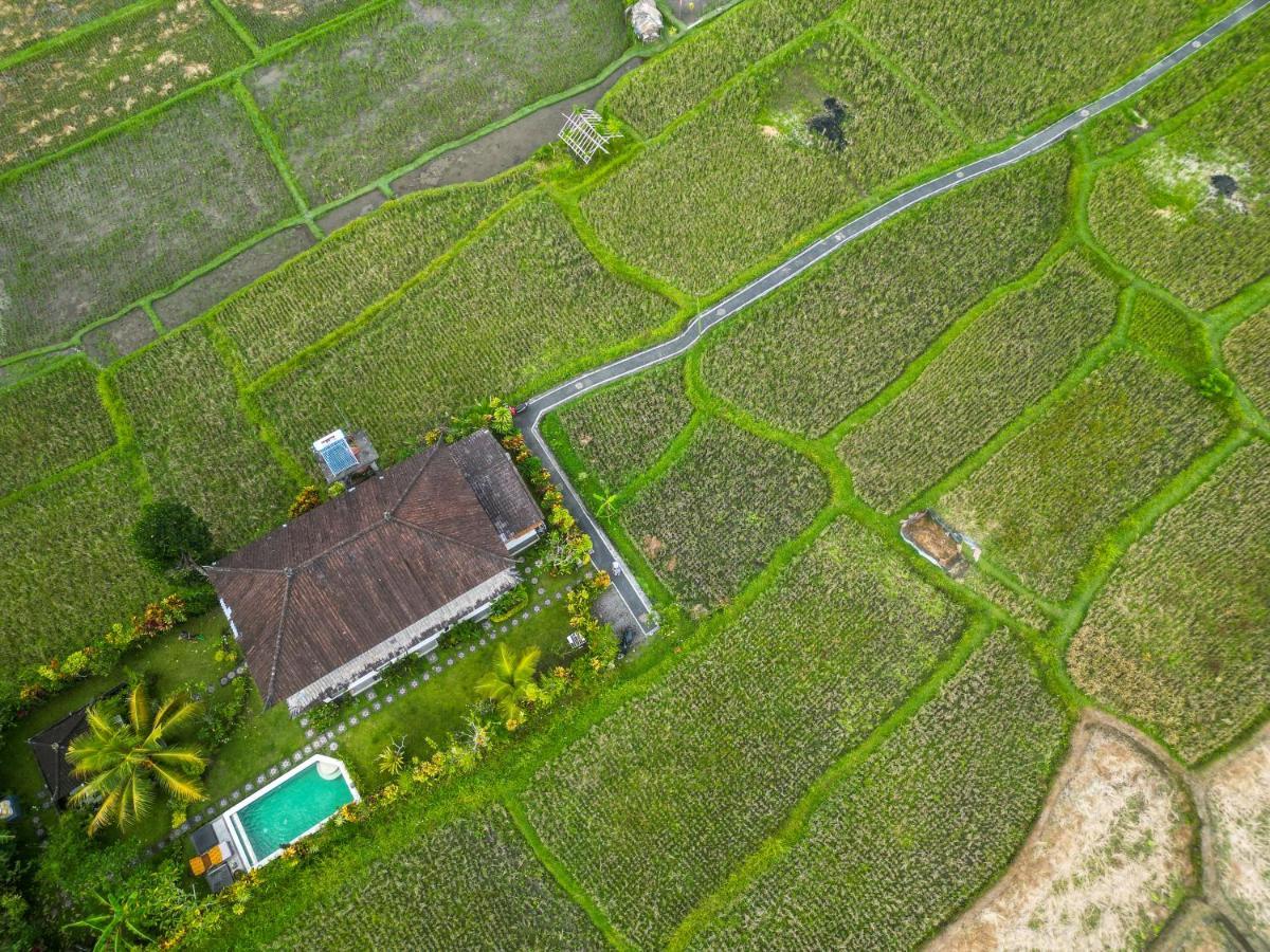 Buddha Homestay Ubud Kültér fotó