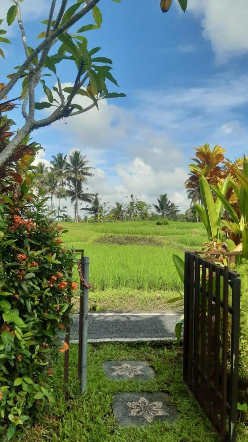 Buddha Homestay Ubud Kültér fotó